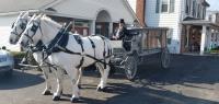 Robert S. Nester Funeral Home & Cremation Services image 15